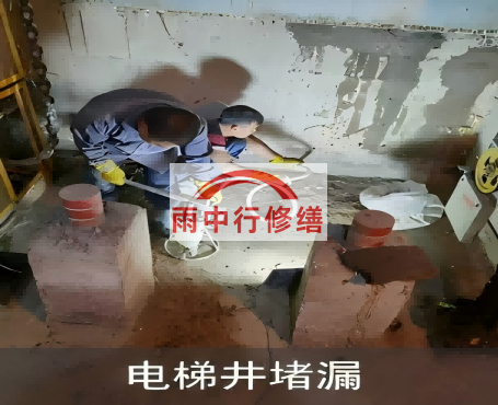 北京星雨华府电梯井堵漏案例
